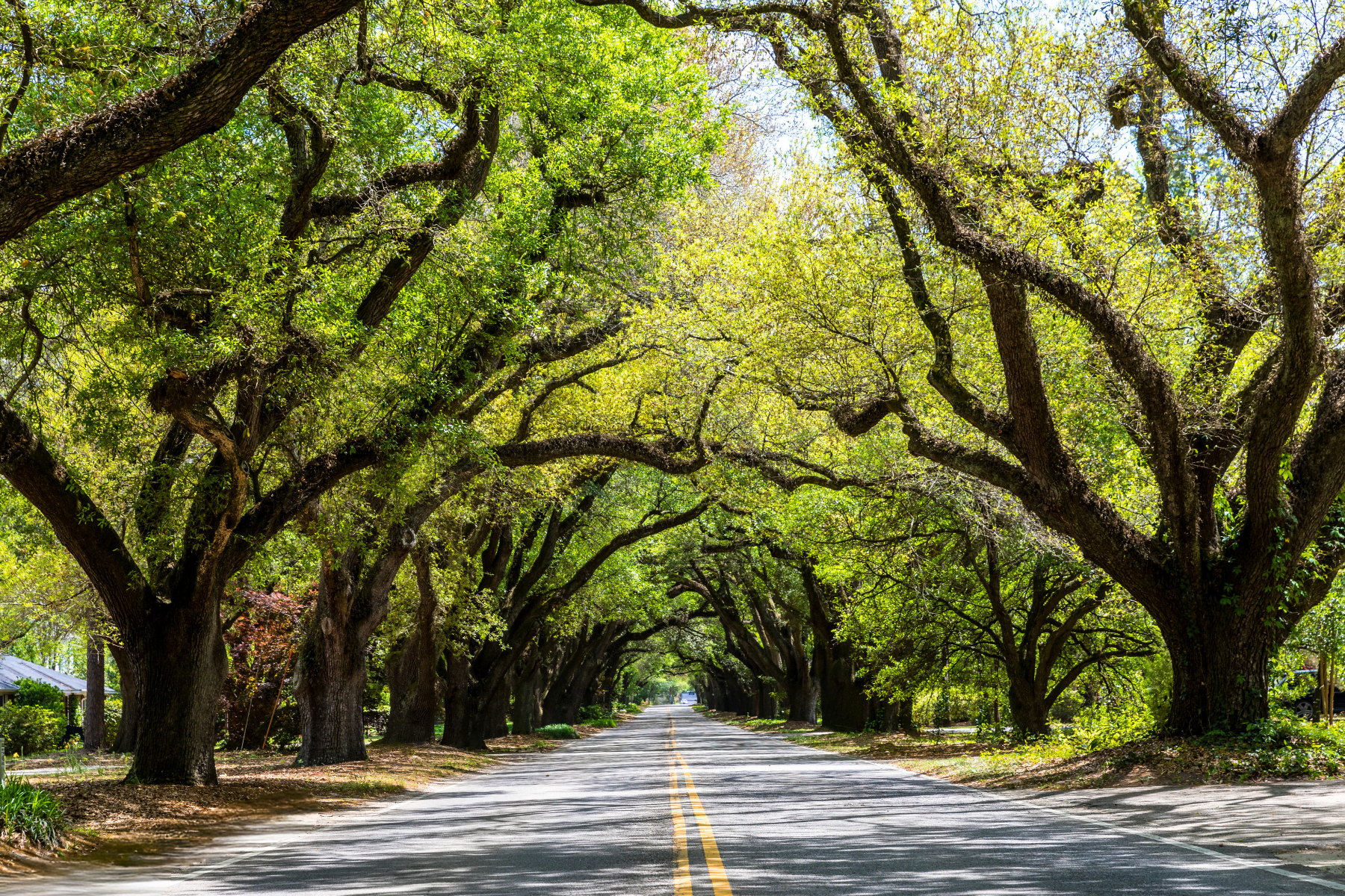 Aiken, South Carolina